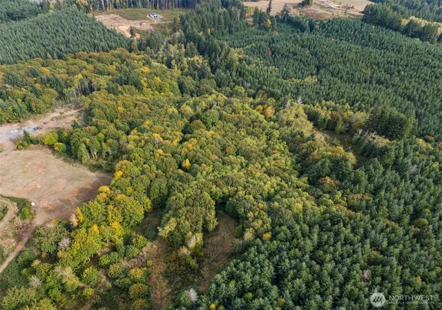 Photo 4 of Land for sale at 251 62 Crego Hl Rd, Chehalis, WA 98532 | MLS# NWM2451031 | Listing updated on 2026-09-17