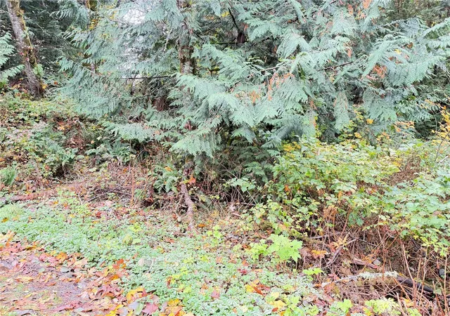 Land for sale at 1 W Alder Dr, Sedro Woolley, WA 98284 | MLS# NWM2451334