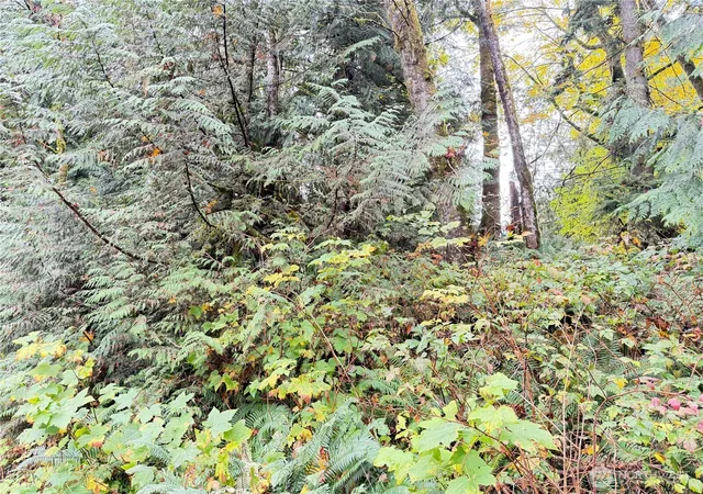 Photo 2 of Land for sale at 1 W Alder Dr, Sedro Woolley, WA 98284 | MLS# NWM2451334 | Listing updated on 2026-09-17