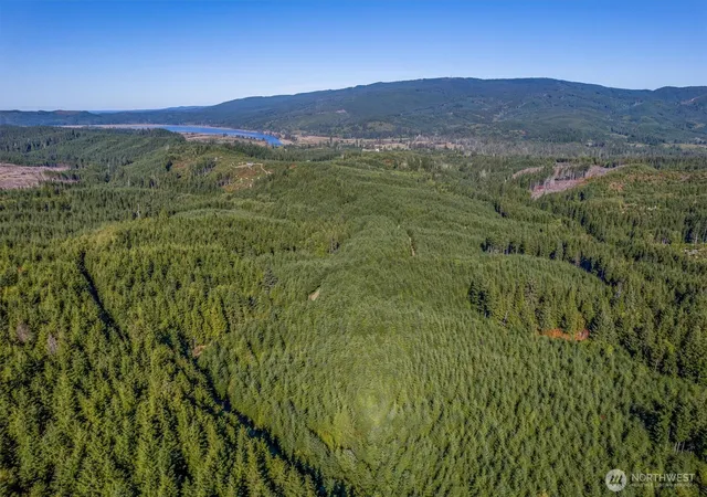 Photo 1 of Land for sale at 6 Parpala Rd #6, Naselle, WA 98638 | MLS# NWM2451388 | Listing updated on 2026-09-17