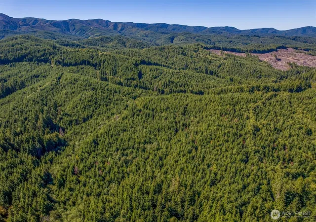 Photo 2 of Land for sale at 6 Parpala Rd #6, Naselle, WA 98638 | MLS# NWM2451388 | Listing updated on 2026-09-17