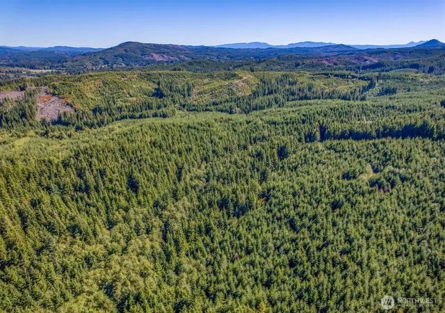 Photo 3 of Land for sale at 6 Parpala Rd #6, Naselle, WA 98638 | MLS# NWM2451388 | Listing updated on 2026-09-17