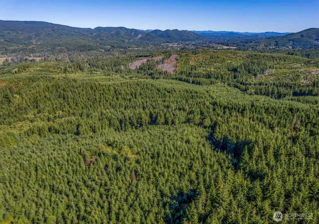 Photo 3 of Land for sale at 6 Parpala Rd #6, Naselle, WA 98638 | MLS# NWM2451388 | Listing updated on 2026-09-17