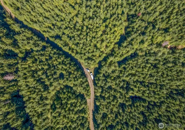 Photo 4 of Land for sale at 6 Parpala Rd #6, Naselle, WA 98638 | MLS# NWM2451388 | Listing updated on 2026-09-17