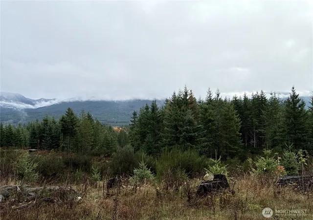 Photo 3 of Land for sale at 2 Xx Forest Rd 52, Packwood, WA 98361 | MLS# NWM2452053 | Listing updated on 2026-09-17
