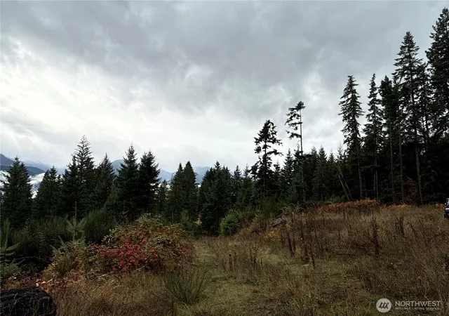 Photo 3 of Land for sale at 2 Xx Forest Rd 52, Packwood, WA 98361 | MLS# NWM2452053 | Listing updated on 2026-09-17