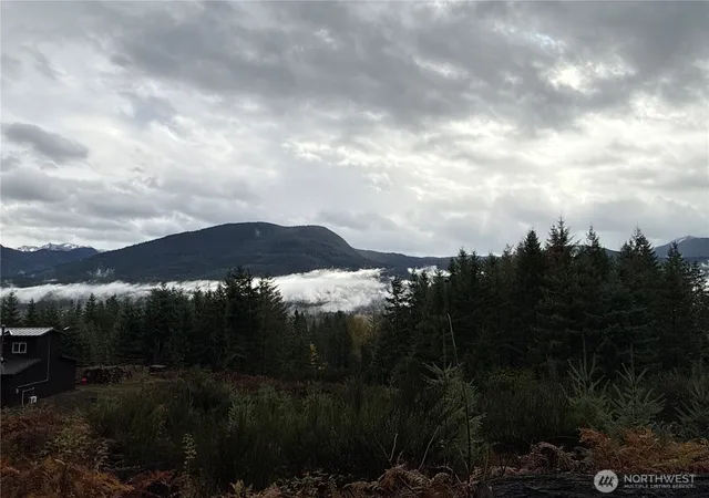 Photo 4 of Land for sale at 2 Xx Forest Rd 52, Packwood, WA 98361 | MLS# NWM2452053 | Listing updated on 2026-09-17