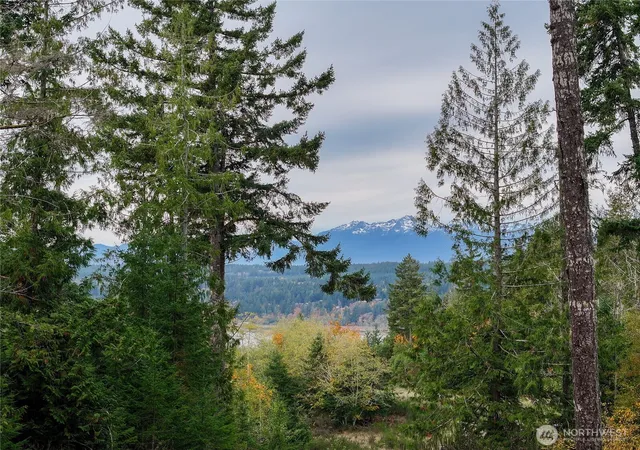 Photo 1 of Land for sale at 541 Ne Squire Ln, Belfair, WA 98528 | MLS# NWM2452096 | Listing updated on 2026-09-17