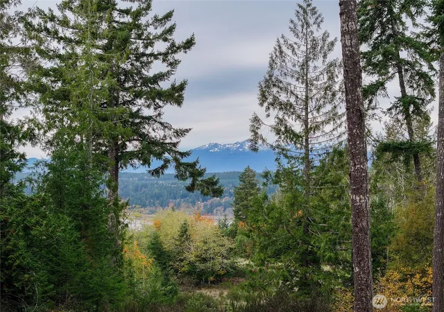 Photo 2 of Land for sale at 541 Ne Squire Ln, Belfair, WA 98528 | MLS# NWM2452096 | Listing updated on 2026-09-17