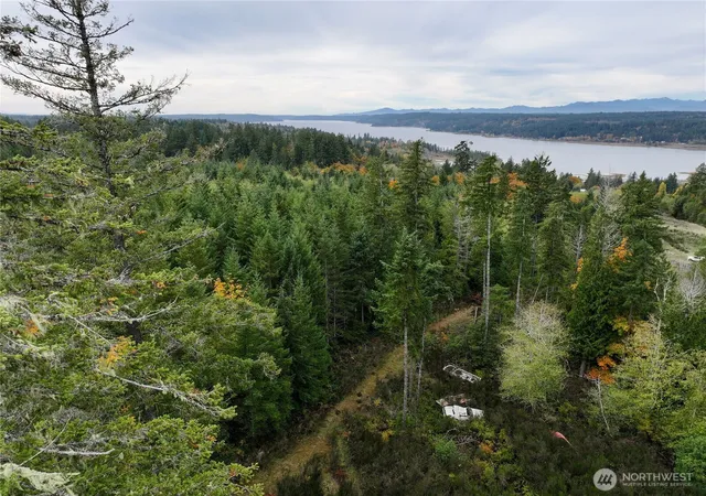 Photo 4 of Land for sale at 541 NE Squire Ln, Belfair, WA 98528 | MLS# NWM2452096 | Listing updated on 2026-09-17