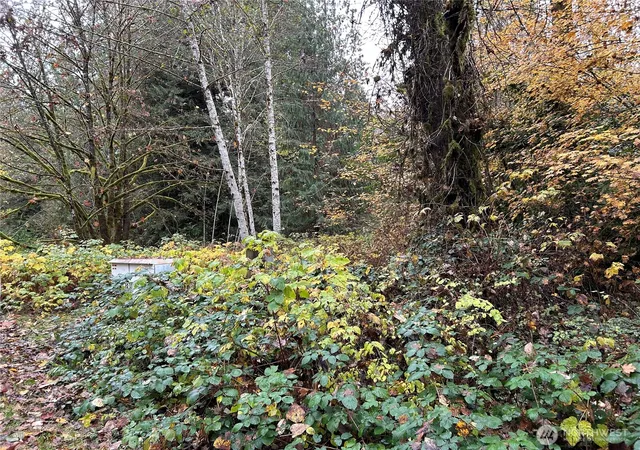 Photo 1 of Land for sale at 54165 Steelhead Landing Rd, Concrete, WA 98237 | MLS# NWM2452377 | Listing updated on 2026-09-17