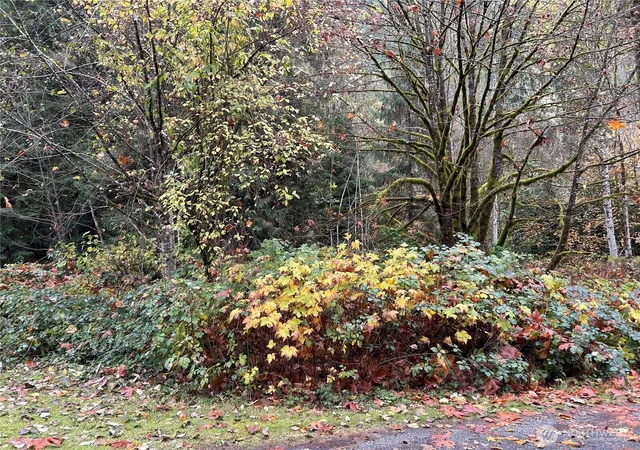 Photo 3 of Land for sale at 54165 Steelhead Landing Rd, Concrete, WA 98237 | MLS# NWM2452377 | Listing updated on 2026-09-17
