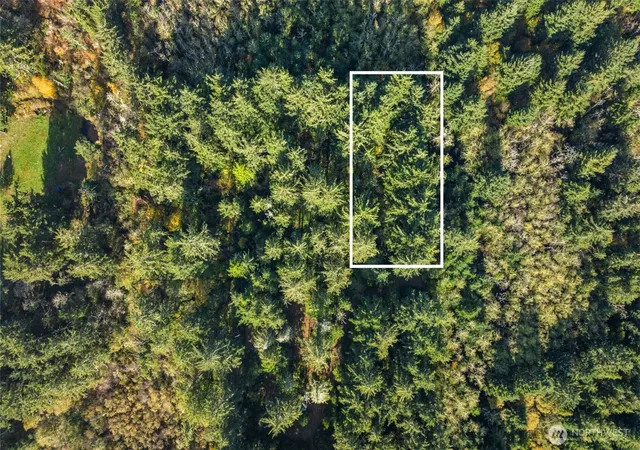 Photo 3 of Land for sale at 0 147th Street, Long Beach, WA 98631 | MLS# NWM2452500 | Listing updated on 2026-09-21