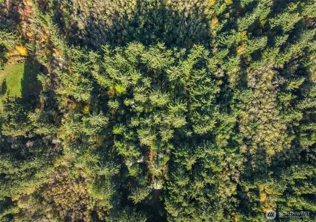 Photo 3 of Land for sale at 0 147th Street, Long Beach, WA 98631 | MLS# NWM2452500 | Listing updated on 2026-09-21