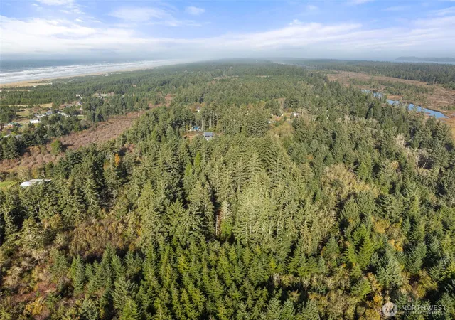 Photo 4 of Land for sale at 0 147th Street, Long Beach, WA 98631 | MLS# NWM2452500 | Listing updated on 2026-09-21
