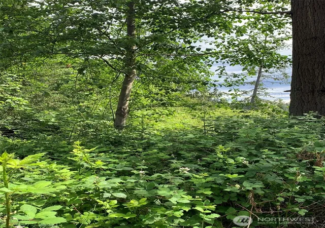Photo 4 of Land for sale at 0 84th Drive NW, Stanwood, WA 98292 | MLS# NWM2453083 | Listing updated on 2026-09-17