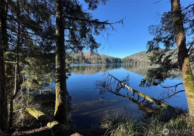 Photo 1 of Land for sale at 0 Mineral Crk Rd N, Mineral, WA 98355 | MLS# NWM2454110 | Listing updated on 2026-09-17