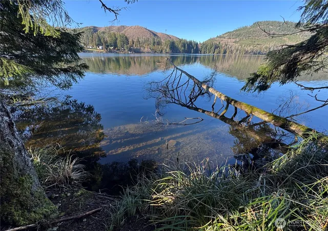 Photo 3 of Land for sale at 0 Mineral Crk Rd N, Mineral, WA 98355 | MLS# NWM2454110 | Listing updated on 2026-09-17