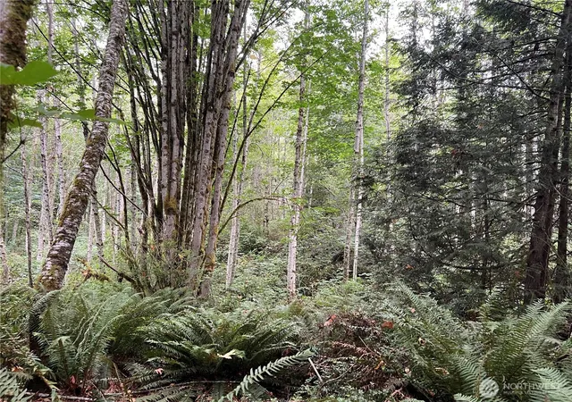 Photo 3 of Land for sale at 1 Xx Scenic Dr, Poulsbo, WA 98370 | MLS# NWM2454621 | Listing updated on 2026-09-17
