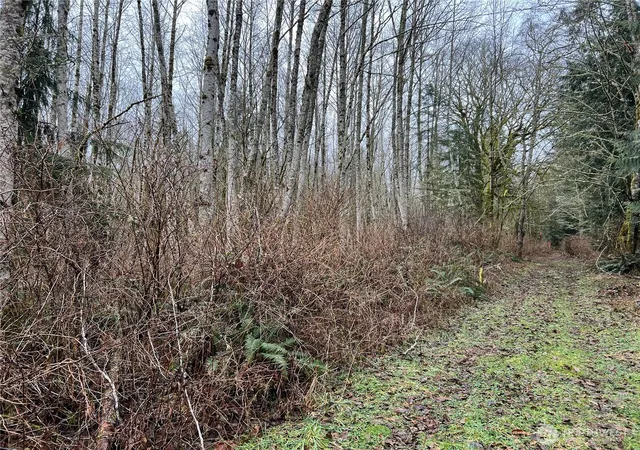 Photo 2 of Land for sale at 2 Xx Scenic Dr, Poulsbo, WA 98370 | MLS# NWM2454632 | Listing updated on 2026-09-17