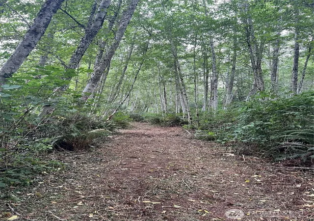 Photo 3 of Land for sale at 2 Xx Scenic Dr, Poulsbo, WA 98370 | MLS# NWM2454632 | Listing updated on 2026-09-17
