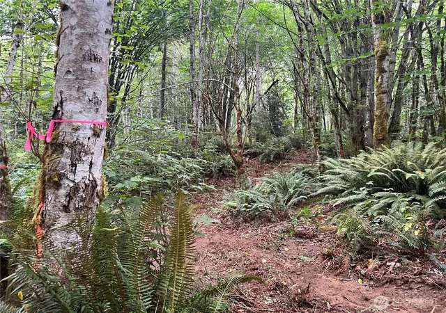 Photo 4 of Land for sale at 2 Xx Scenic Dr, Poulsbo, WA 98370 | MLS# NWM2454632 | Listing updated on 2026-09-17