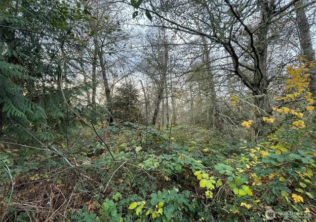 Photo 2 of Land for sale at 10312 Sw 156th Street, Vashon, WA 98070 | MLS# NWM2454664 | Listing updated on 2026-09-17