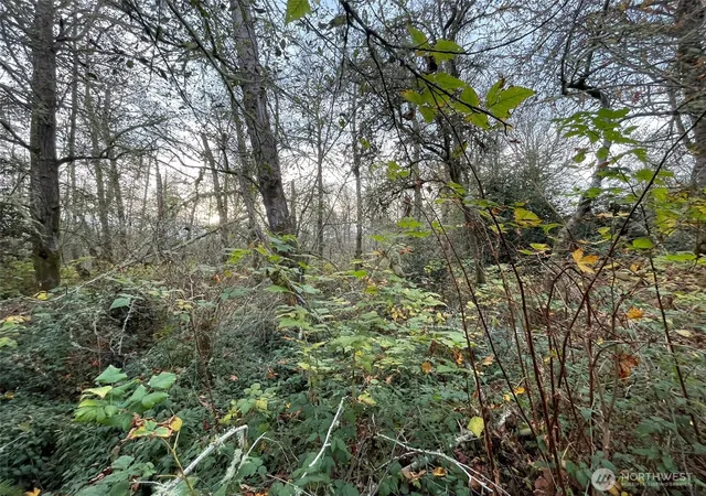 Photo 3 of Land for sale at 10312 Sw 156th Street, Vashon, WA 98070 | MLS# NWM2454664 | Listing updated on 2026-09-17