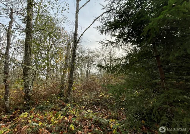 Photo 3 of Land for sale at 10312 SW 156th Street, Vashon, WA 98070 | MLS# NWM2454664 | Listing updated on 2026-09-17