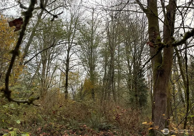 Photo 4 of Land for sale at 10312 SW 156th Street, Vashon, WA 98070 | MLS# NWM2454664 | Listing updated on 2026-09-17