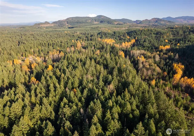 Photo 3 of Land for sale at 0 Bald Hills Rd, Yelm, WA 98597 | MLS# NWM2454931 | Listing updated on 2026-09-17