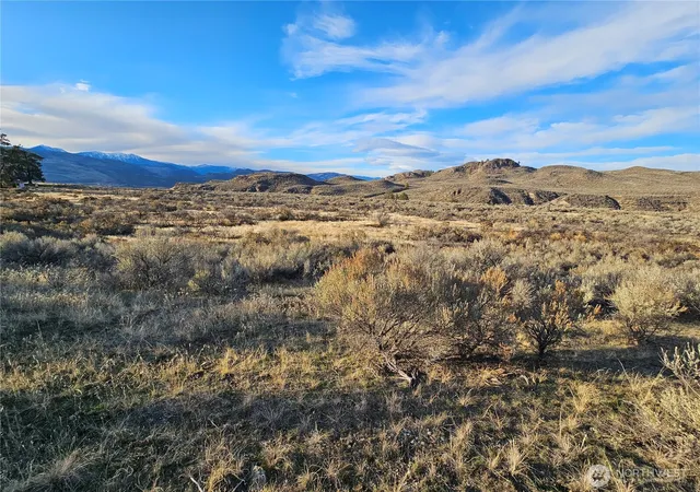 Photo 3 of Land for sale at 38 Pine Grv Rd #Lot 46, Oroville, WA 98844 | MLS# NWM2455037 | Listing updated on 2026-10-01