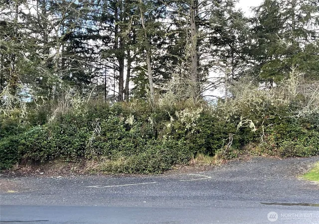 Photo 3 of Single family home for sale at 653 Sunset Ave NE, Ocean Shores, WA 98569 | MLS# NWM2455523 | Listing updated on 2026-09-17
