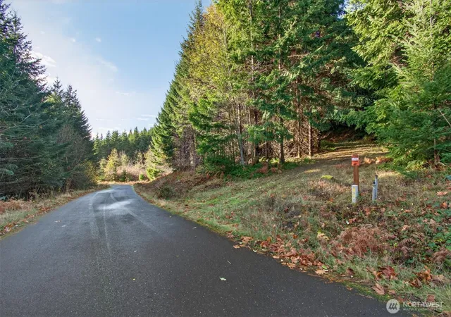 Photo 3 of Land for sale at 0 Knightsbridge Rd, Amboy, WA 98603 | MLS# NWM2455713 | Listing updated on 2026-09-17