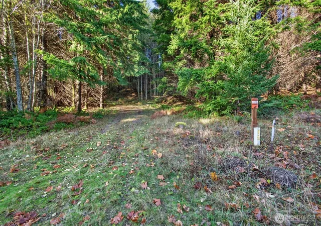 Photo 3 of Land for sale at 0 Knightsbridge Rd, Amboy, WA 98603 | MLS# NWM2455713 | Listing updated on 2026-09-17