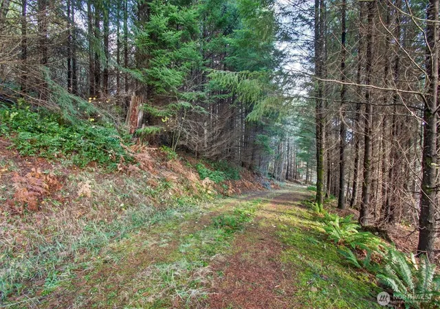 Photo 4 of Land for sale at 0 Knightsbridge Rd, Amboy, WA 98603 | MLS# NWM2455713 | Listing updated on 2026-09-17