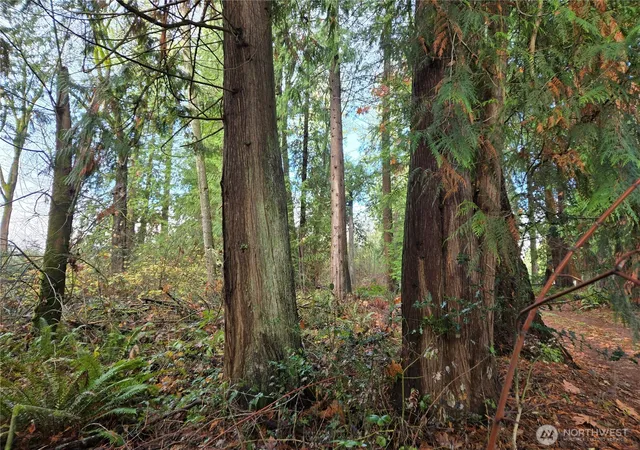 Photo 3 of Land for sale at 388 Xx 191st Ave Se, Auburn, WA 98092 | MLS# NWM2456279 | Listing updated on 2026-09-17