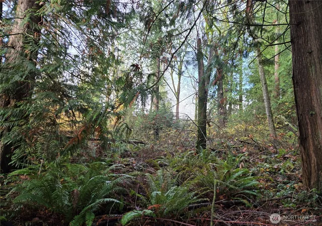 Photo 3 of Land for sale at 388 Xx 191st Ave SE, Auburn, WA 98092 | MLS# NWM2456279 | Listing updated on 2026-09-17