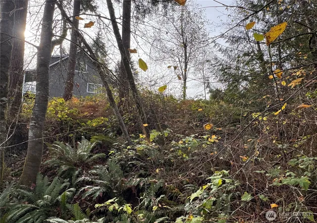 Photo 4 of Land for sale at 1618 Maple Valley Dr, Centralia, WA 98531 | MLS# NWM2456569 | Listing updated on 2026-10-02