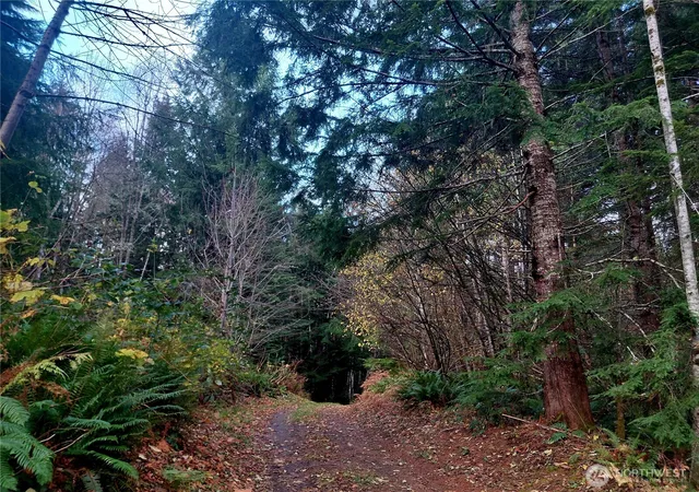 Photo 1 of Land for sale at 0 Lot 9 Old Barn Rd, Randle, WA 98377 | MLS# NWM2456870 | Listing updated on 2026-09-24
