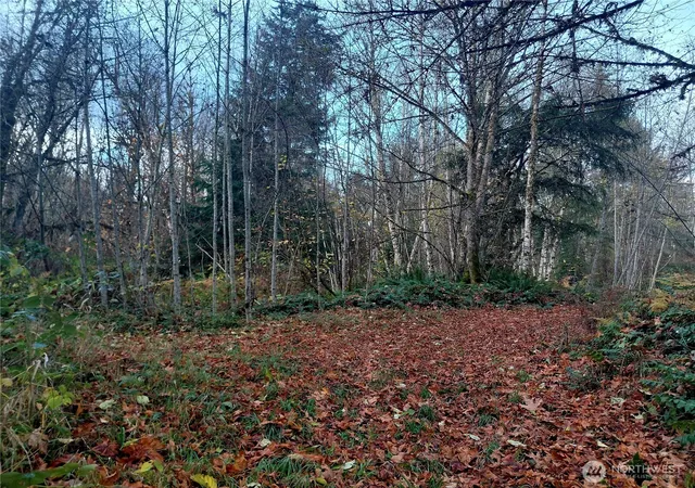 Photo 2 of Land for sale at 0 Lot 9 Old Barn Rd, Randle, WA 98377 | MLS# NWM2456870 | Listing updated on 2026-09-24