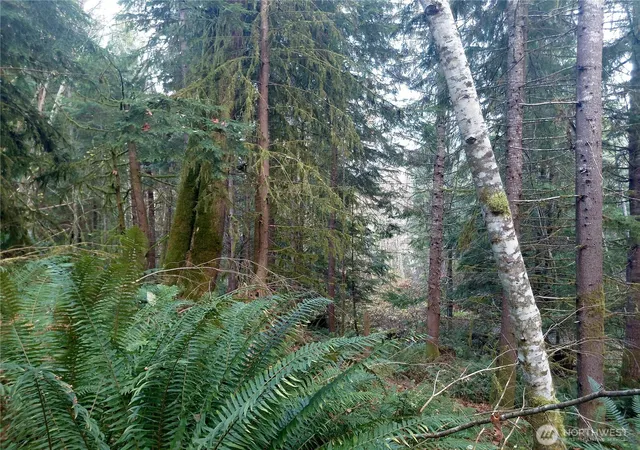 Photo 3 of Land for sale at 0 Lot 9 Old Barn Rd, Randle, WA 98377 | MLS# NWM2456870 | Listing updated on 2026-09-24