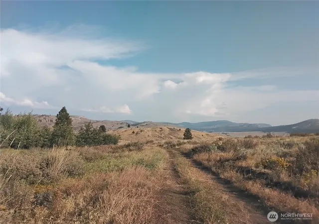 Photo 2 of Land for sale at 6 Painted Rock Rd, Tonasket, WA 98855 | MLS# NWM2457104 | Listing updated on 2026-09-17