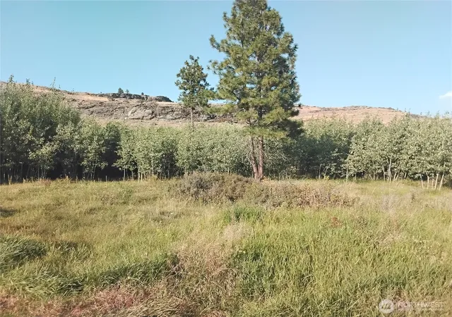 Photo 1 of Land for sale at 4 Painted Rock Rd, Tonasket, WA 98855 | MLS# NWM2457118 | Listing updated on 2026-09-17