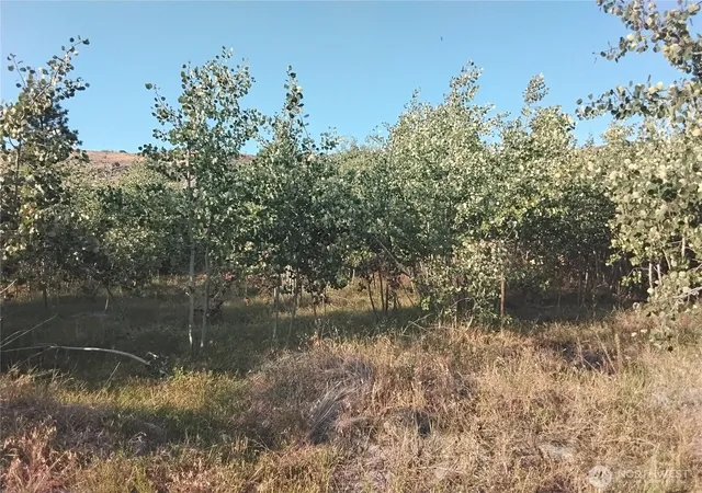 Photo 2 of Land for sale at 4 Painted Rock Rd, Tonasket, WA 98855 | MLS# NWM2457118 | Listing updated on 2026-09-17