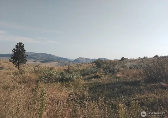 Photo 3 of Land for sale at 4 Painted Rock Rd, Tonasket, WA 98855 | MLS# NWM2457118 | Listing updated on 2026-09-17