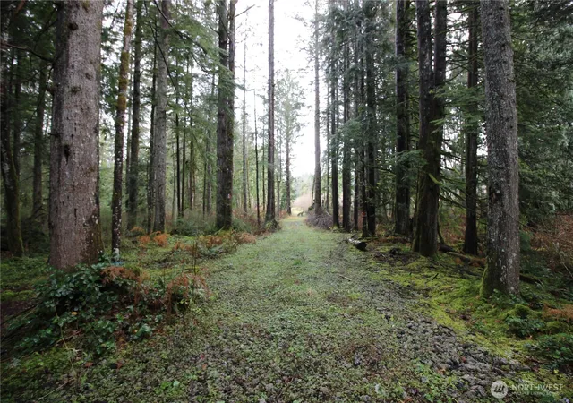 Photo 3 of Land for sale at 0 364th Avenue SE #9039, Maple Valley, WA 98038 | MLS# NWM2457269 | Listing updated on 2026-10-02