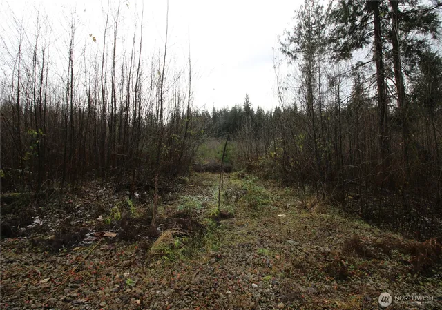 Photo 4 of Land for sale at 0 364th Avenue SE #9039, Maple Valley, WA 98038 | MLS# NWM2457269 | Listing updated on 2026-10-02