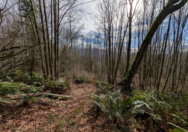 Photo 4 of Land for sale at 0 132nd Street SE, Sultan, WA 98294 | MLS# NWM2457651 | Listing updated on 2026-09-17
