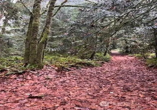 Photo 2 of Land for sale at 0 Glenwood Rd Sw, Port Orchard, WA 98367 | MLS# NWM2457669 | Listing updated on 2026-09-17
